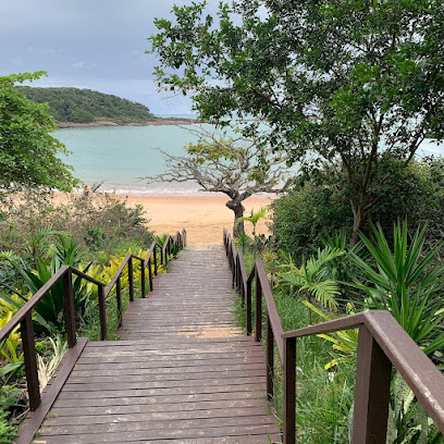 Praia da Bacutia